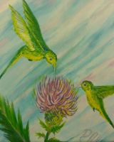 Thistle Nectar